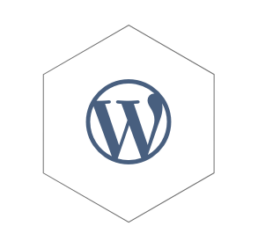 Wordpress CMS Hex
